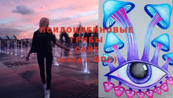 СК Протвино
