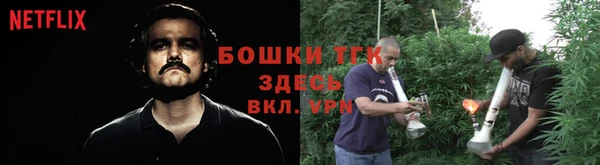 СК Протвино