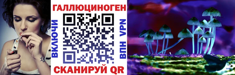Галлюциногенные грибы GOLDEN TEACHER  сколько стоит  Сосновоборск 