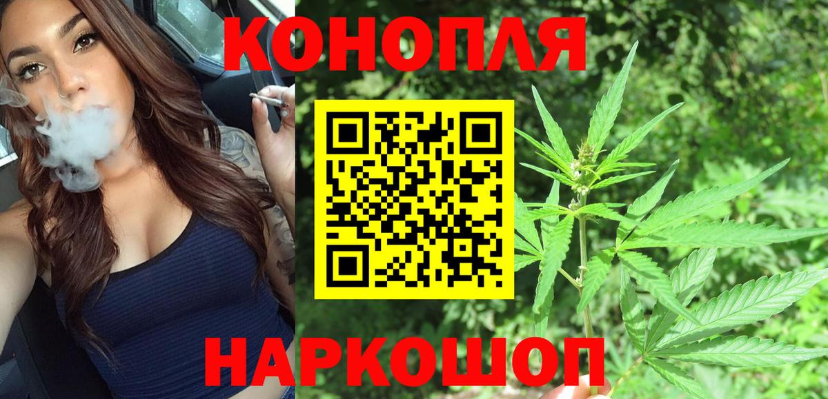 Конопля план Сосновоборск